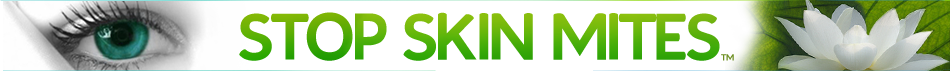 logo_5