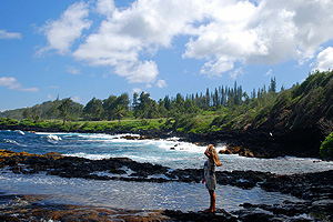 maui_3_sea_skinmite